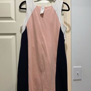 Ann Taylor Dress
